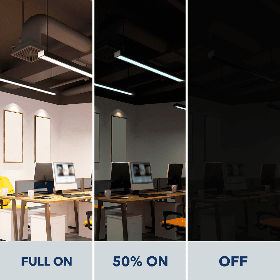 Customize lighting with diverse motion options.